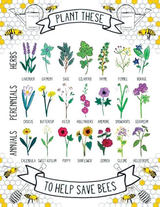 SE14_Beeflowers
