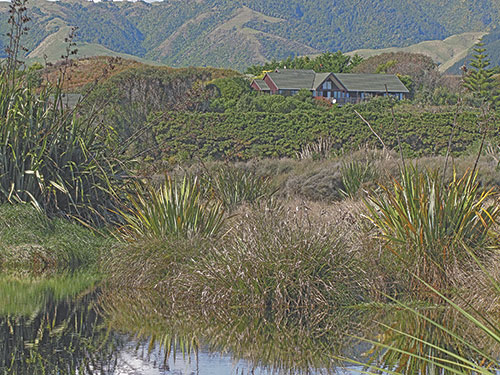 Their house looks out over the wetland and beyond to Taranaki and Kapiti